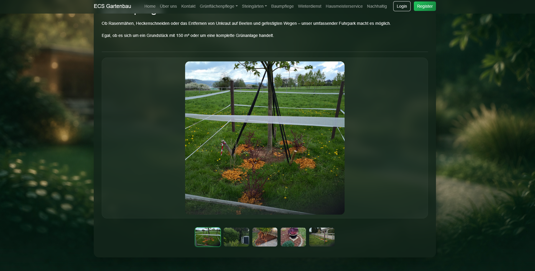 Website & CMS-System für ECS Gartenbau Bild 2