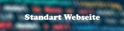 Website Entwicklung (Standart)